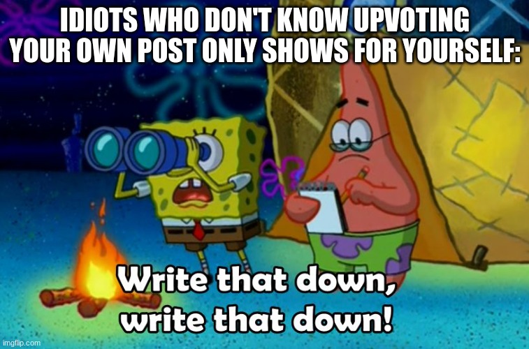 write that down | IDIOTS WHO DON'T KNOW UPVOTING YOUR OWN POST ONLY SHOWS FOR YOURSELF: | image tagged in write that down | made w/ Imgflip meme maker