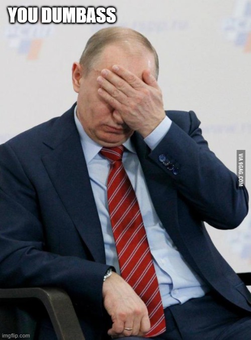 Putin Facepalm | YOU DUMBASS | image tagged in putin facepalm | made w/ Imgflip meme maker