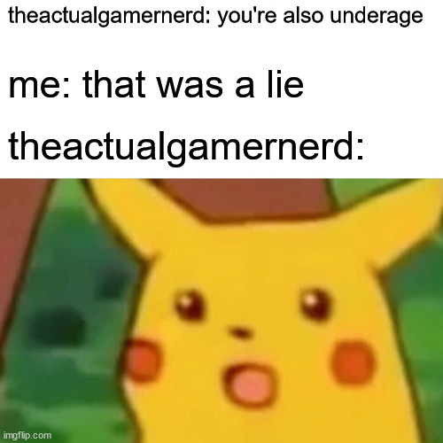 Surprised Pikachu | theactualgamernerd: you're also underage; me: that was a lie; theactualgamernerd: | image tagged in memes,surprised pikachu | made w/ Imgflip meme maker