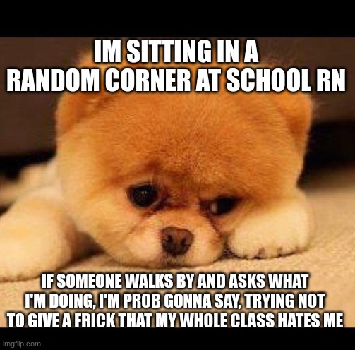 downvote to save me (it's not upvote begging so take that haters) | IM SITTING IN A RANDOM CORNER AT SCHOOL RN; IF SOMEONE WALKS BY AND ASKS WHAT I'M DOING, I'M PROB GONNA SAY, TRYING NOT TO GIVE A FRICK THAT MY WHOLE CLASS HATES ME | image tagged in sad dog | made w/ Imgflip meme maker