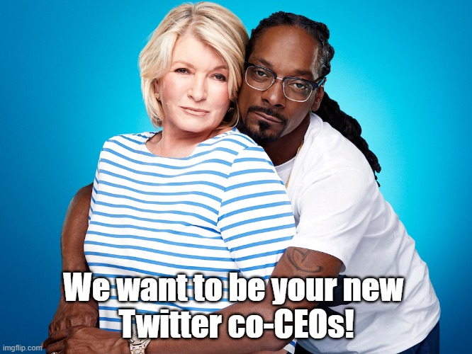 We want to be your new Twitter Co-CEOs | We want to be your new 
Twitter co-CEOs! | image tagged in twitter,ceo,martha stewart,snoop dogg | made w/ Imgflip meme maker