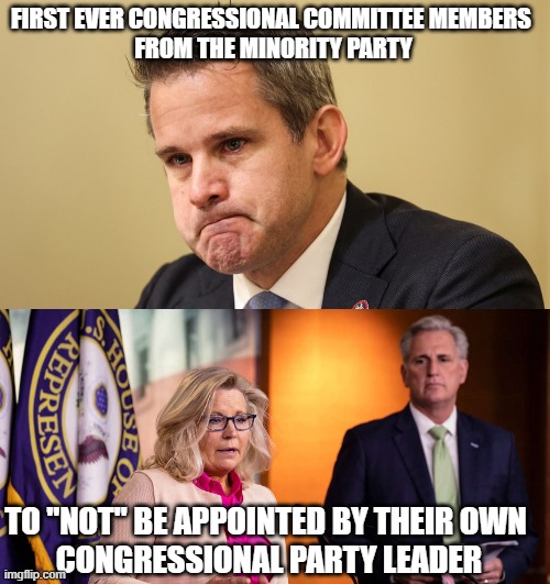The Grand Plan is falling into place. Fourth Turning Crisis era. Now is the Secular Winter | FIRST EVER CONGRESSIONAL COMMITTEE MEMBERS 
FROM THE MINORITY PARTY; TO "NOT" BE APPOINTED BY THEIR OWN 
CONGRESSIONAL PARTY LEADER | image tagged in liz cheney kevin mccarthy,president trump,adam schiff,jamie raskin,nancy pelosi,biden obama | made w/ Imgflip meme maker