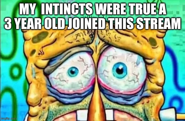 gnaww | MY  INTINCTS WERE TRUE A 3 YEAR OLD JOINED THIS STREAM | image tagged in gnaww | made w/ Imgflip meme maker