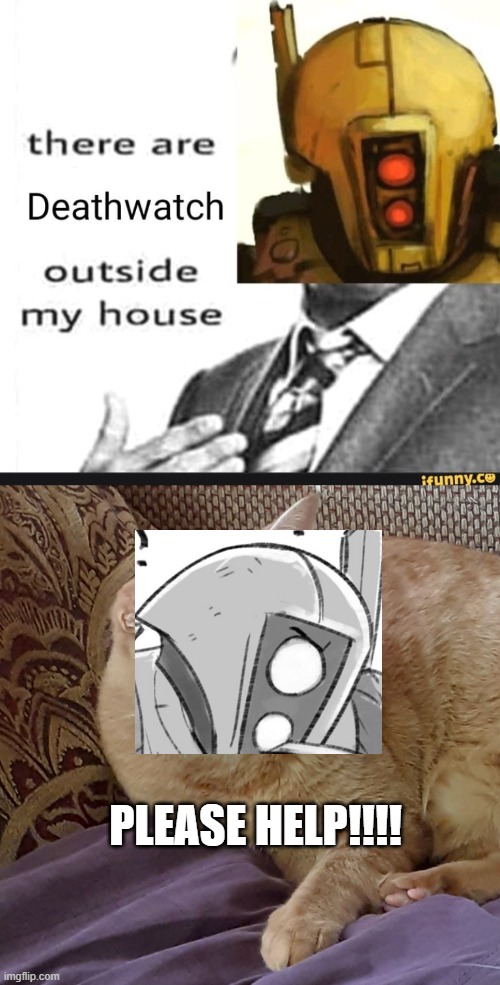 PLEASE HELP!!!! | image tagged in there are deathwatch outside of my house,scared cat | made w/ Imgflip meme maker