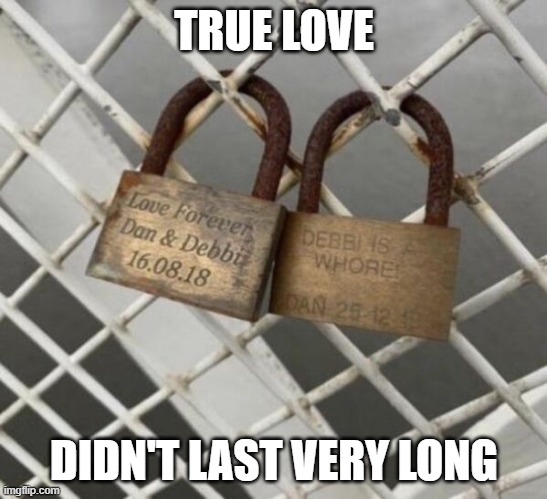 True Love | TRUE LOVE; DIDN'T LAST VERY LONG | image tagged in true love | made w/ Imgflip meme maker