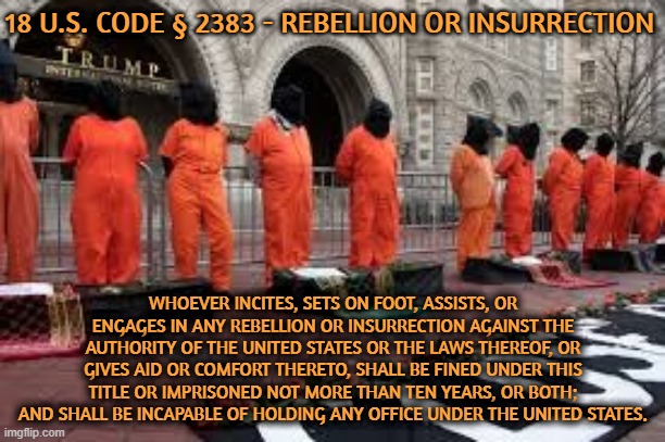 18 U.S. Code § 2383 -  REBELLION or INSURRECTION | 18 U.S. CODE § 2383 - REBELLION OR INSURRECTION; WHOEVER INCITES, SETS ON FOOT, ASSISTS, OR ENGAGES IN ANY REBELLION OR INSURRECTION AGAINST THE AUTHORITY OF THE UNITED STATES OR THE LAWS THEREOF, OR GIVES AID OR COMFORT THERETO, SHALL BE FINED UNDER THIS TITLE OR IMPRISONED NOT MORE THAN TEN YEARS, OR BOTH; AND SHALL BE INCAPABLE OF HOLDING ANY OFFICE UNDER THE UNITED STATES. | image tagged in rebellion,insurrection,incite,assist,terrorist,treason | made w/ Imgflip meme maker
