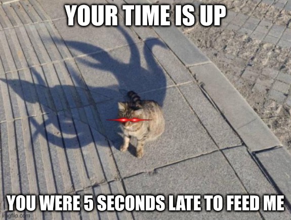 Fluffy, NOOOooo | YOUR TIME IS UP; YOU WERE 5 SECONDS LATE TO FEED ME | image tagged in eldritch cat,cats,cat,danger,run,oh no | made w/ Imgflip meme maker