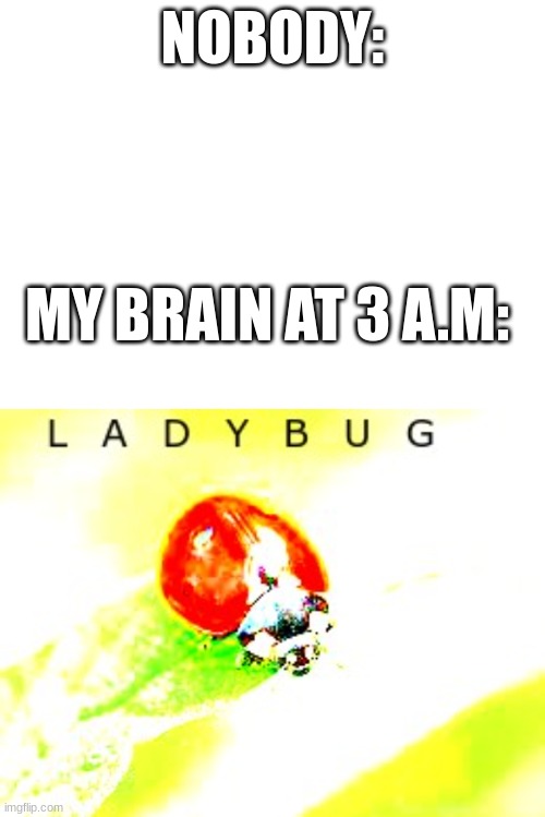 Yea Im back | NOBODY:; MY BRAIN AT 3 A.M: | image tagged in memes,funny memes,pie charts,ladybug,my brain | made w/ Imgflip meme maker