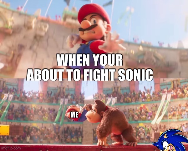 Donkey kong grabbing Mario | WHEN YOUR ABOUT TO FIGHT SONIC; ME | image tagged in donkey kong grabbing mario | made w/ Imgflip meme maker