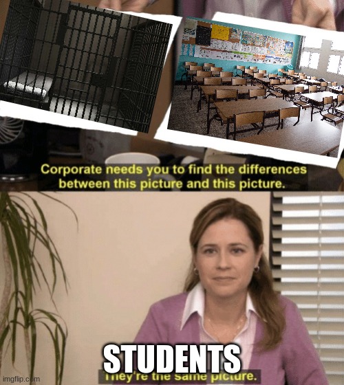 Corporate needs you to find the differences | STUDENTS | image tagged in corporate needs you to find the differences | made w/ Imgflip meme maker