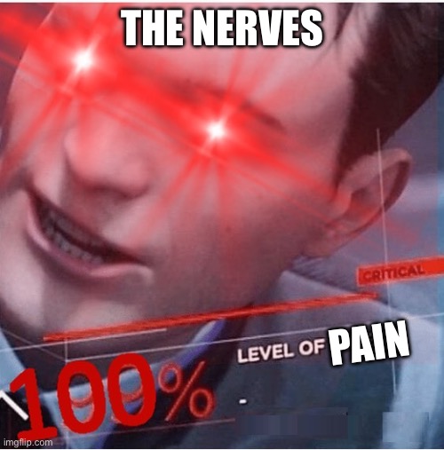 100% stress | THE NERVES PAIN | image tagged in 100 stress | made w/ Imgflip meme maker