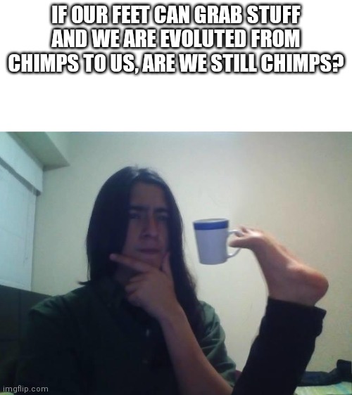 Write ur answer in comments section | IF OUR FEET CAN GRAB STUFF AND WE ARE EVOLUTED FROM CHIMPS TO US, ARE WE STILL CHIMPS? | image tagged in memes,hmmm,hmmmm,hmmmmmmm | made w/ Imgflip meme maker