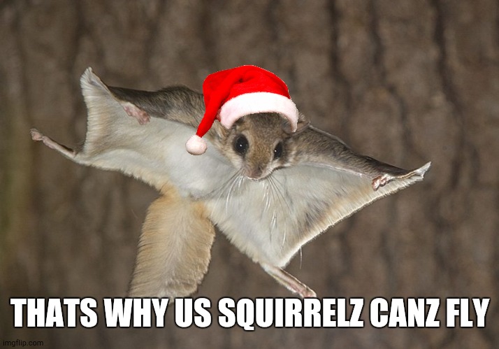 THATS WHY US SQUIRRELZ CANZ FLY | made w/ Imgflip meme maker