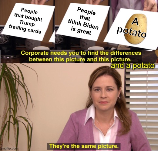 People that think Biden is great; A potato; People that bought Trump trading cards; and a potato | image tagged in memes,they're the same picture,politics lol | made w/ Imgflip meme maker