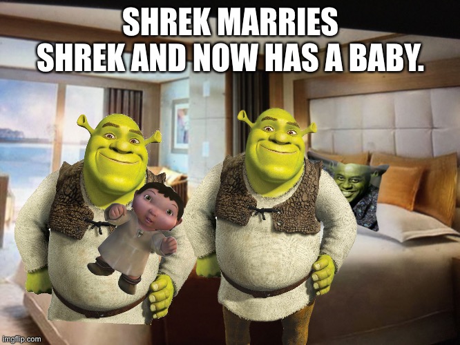 congrats shrek, your baby is a son. | SHREK MARRIES SHREK AND NOW HAS A BABY. | image tagged in cruise ship bedroom | made w/ Imgflip meme maker