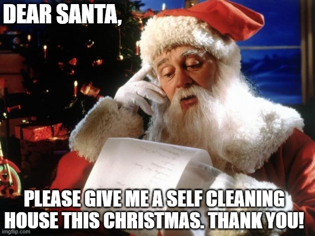 DEAR SANTA | DEAR SANTA, PLEASE GIVE ME A SELF CLEANING HOUSE THIS CHRISTMAS. THANK YOU! | image tagged in dear santa | made w/ Imgflip meme maker
