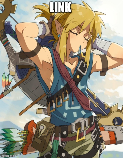 I now am addicted to the legend of zelda | LINK | image tagged in link | made w/ Imgflip meme maker