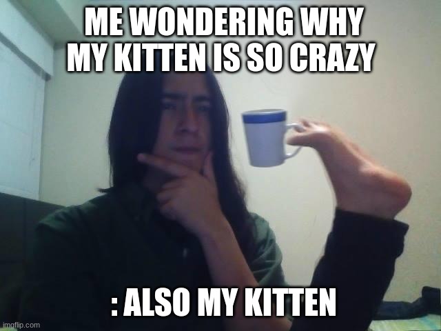 : My kitten Kirby be like : | ME WONDERING WHY MY KITTEN IS SO CRAZY; : ALSO MY KITTEN | image tagged in hmmmm | made w/ Imgflip meme maker