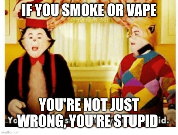 You're not just wrong your stupid | IF YOU SMOKE OR VAPE; YOU'RE NOT JUST WRONG, YOU'RE STUPID | image tagged in you're not just wrong your stupid | made w/ Imgflip meme maker