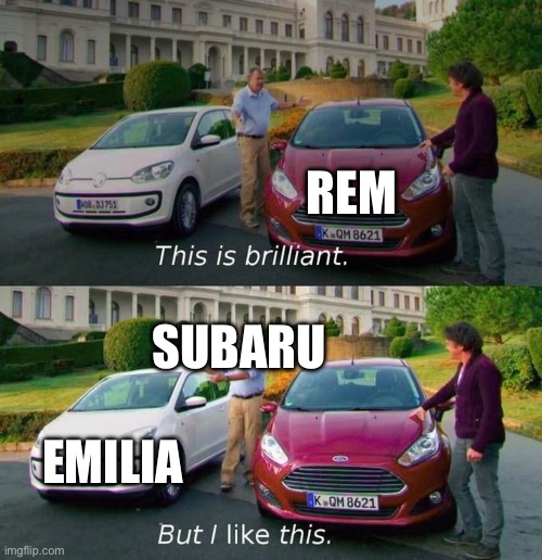 This Is Brilliant But I Like This | REM; SUBARU; EMILIA | image tagged in this is brilliant but i like this | made w/ Imgflip meme maker