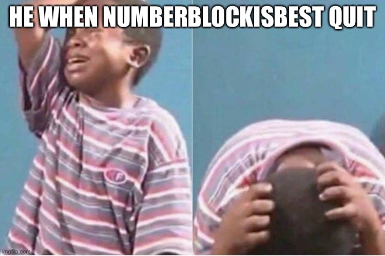 Crying kid | HE WHEN NUMBERBLOCKISBEST QUIT | image tagged in crying kid | made w/ Imgflip meme maker