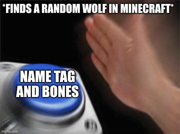 Blank Nut Button Meme | *FINDS A RANDOM WOLF IN MINECRAFT*; NAME TAG AND BONES | image tagged in memes,blank nut button | made w/ Imgflip meme maker