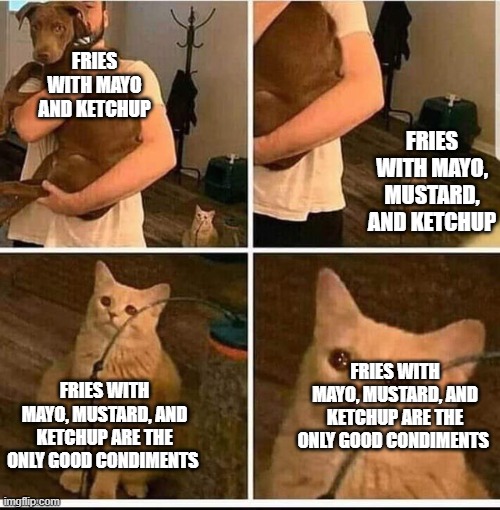 jealous cat | FRIES WITH MAYO AND KETCHUP FRIES WITH MAYO, MUSTARD, AND KETCHUP ARE THE ONLY GOOD CONDIMENTS FRIES WITH MAYO, MUSTARD, AND KETCHUP FRIES W | image tagged in jealous cat | made w/ Imgflip meme maker