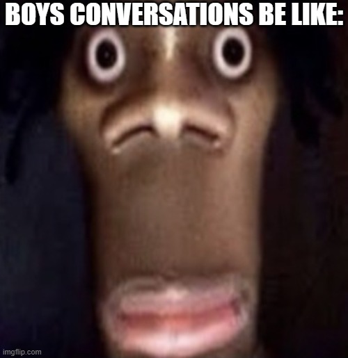 Boys Can Relate -_- | BOYS CONVERSATIONS BE LIKE: | image tagged in quandale dingle | made w/ Imgflip meme maker