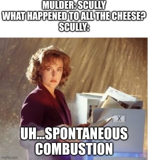 x-files memes even though no one will understand | MULDER: SCULLY WHAT HAPPENED TO ALL THE CHEESE?
SCULLY:; UH...SPONTANEOUS COMBUSTION | image tagged in scully side eye x-files | made w/ Imgflip meme maker