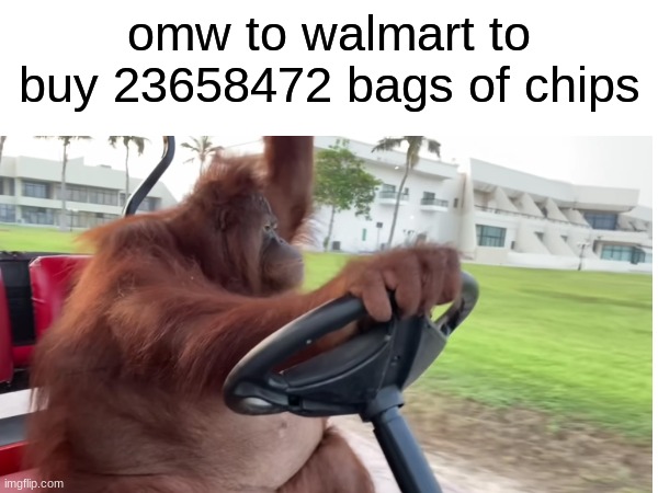 true? | omw to walmart to buy 23658472 bags of chips | image tagged in walmart,memes,orangutan,not funny | made w/ Imgflip meme maker