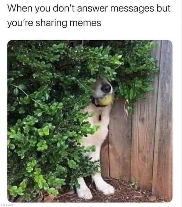 image tagged in memes,funny | made w/ Imgflip meme maker