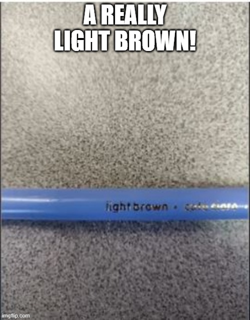 Color | A REALLY LIGHT BROWN! | image tagged in you had one job | made w/ Imgflip meme maker