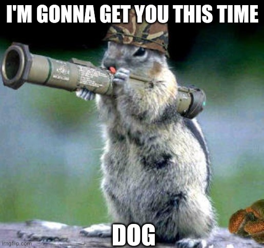 Bazooka Squirrel | I'M GONNA GET YOU THIS TIME; DOG | image tagged in memes,bazooka squirrel | made w/ Imgflip meme maker