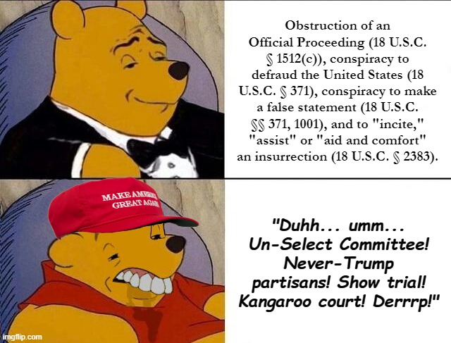 Today's Jan. 6 Panel criminal referrals re: Trump vs... umm... | Obstruction of an Official Proceeding (18 U.S.C. § 1512(c)), conspiracy to defraud the United States (18 U.S.C. § 371), conspiracy to make a false statement (18 U.S.C. §§ 371, 1001), and to "incite," "assist" or "aid and comfort" an insurrection (18 U.S.C. § 2383). "Duhh... umm... Un-Select Committee! Never-Trump partisans! Show trial! Kangaroo court! Derrrp!" | image tagged in tuxedo winnie the pooh grossed reverse | made w/ Imgflip meme maker