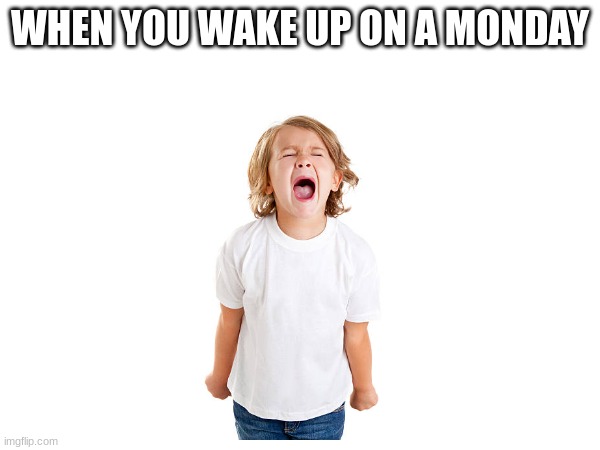 WHEN YOU WAKE UP ON A MONDAY | image tagged in memes | made w/ Imgflip meme maker