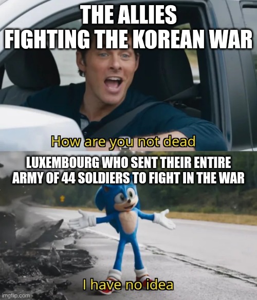 Sonic I have no idea | THE ALLIES FIGHTING THE KOREAN WAR; LUXEMBOURG WHO SENT THEIR ENTIRE ARMY OF 44 SOLDIERS TO FIGHT IN THE WAR | image tagged in sonic i have no idea | made w/ Imgflip meme maker