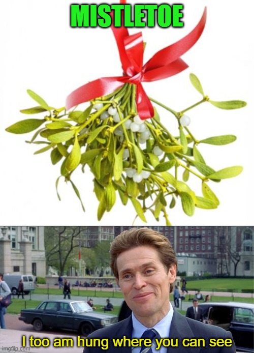 Merry Christmas! | MISTLETOE; I too am hung where you can see | image tagged in mistletoe,willem dafoe,memes,hung,merry christmas | made w/ Imgflip meme maker