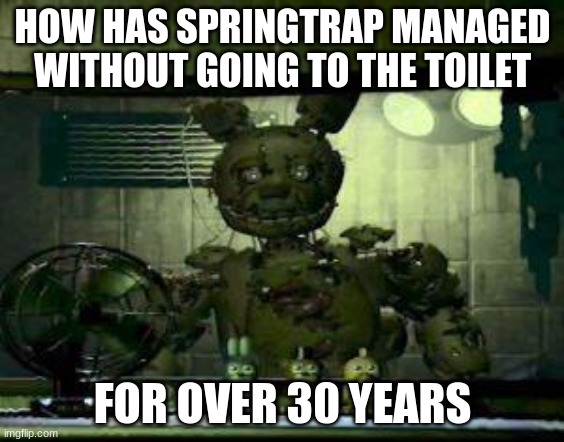 FNAF Springtrap in window | HOW HAS SPRINGTRAP MANAGED WITHOUT GOING TO THE TOILET; FOR OVER 30 YEARS | image tagged in fnaf springtrap in window | made w/ Imgflip meme maker