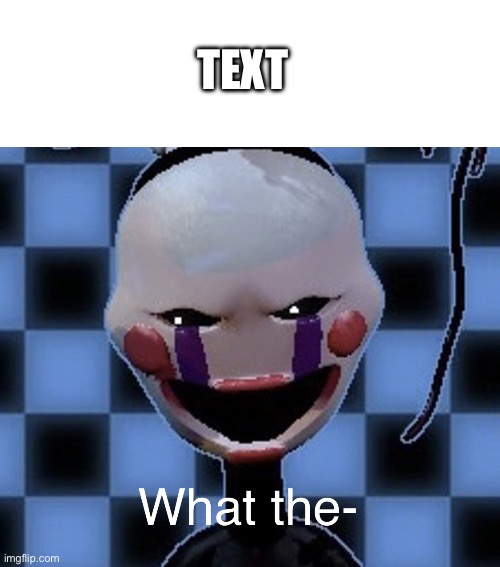https://imgflip.com/memegenerator/431480708/Confused-Puppet | TEXT | image tagged in confused puppet | made w/ Imgflip meme maker