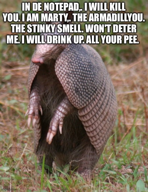 armadillo | IN DE NOTEPAD,. I WILL KILL YOU. I AM MARTY,. THE ARMADILLYOU. THE STINKY SMELL. WON'T DETER ME. I WILL DRINK UP. ALL YOUR PEE. | image tagged in armadillo,mighty zip | made w/ Imgflip meme maker