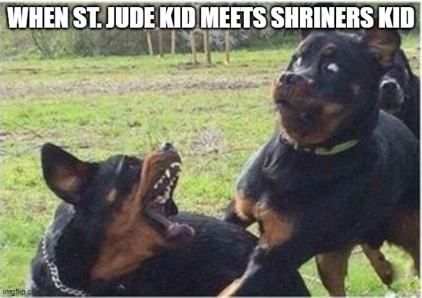 hospital kids | WHEN ST. JUDE KID MEETS SHRINERS KID | image tagged in dogs fighting | made w/ Imgflip meme maker