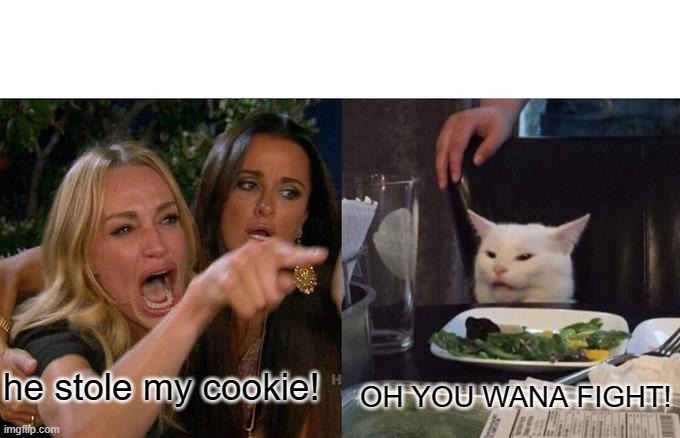 he stole my cookie! OH YOU WANA FIGHT! | image tagged in memes,woman yelling at cat | made w/ Imgflip meme maker