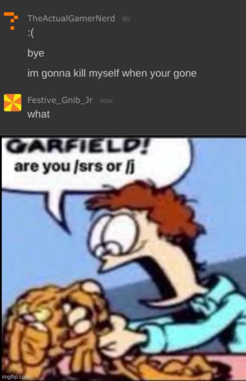 nooooo | image tagged in garfield are you /srs or /j | made w/ Imgflip meme maker