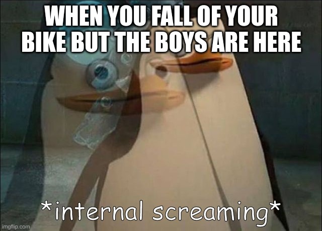 Private Internal Screaming | WHEN YOU FALL OF YOUR BIKE BUT THE BOYS ARE HERE | image tagged in private internal screaming | made w/ Imgflip meme maker