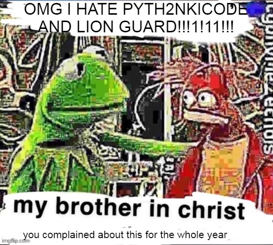 seriously | OMG I HATE PYTH2NKICODE AND LION GUARD!!!1!11!!! you complained about this for the whole year | image tagged in my brother in christ | made w/ Imgflip meme maker
