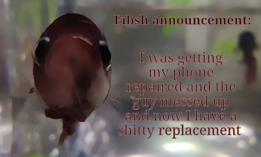 Fibsh | I was getting my phone repaired and the guy messed up and now I have a shitty replacement | image tagged in fibsh | made w/ Imgflip meme maker