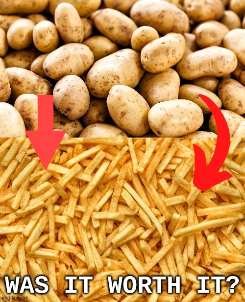 crap-post | WAS IT WORTH IT? | image tagged in french fry famine | made w/ Imgflip meme maker