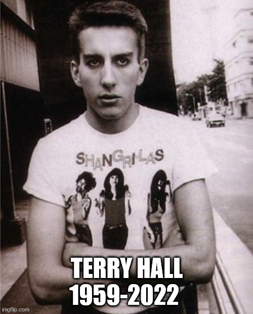 R.I.P. Terry Hall | 1959-2022; TERRY HALL | image tagged in terry hall,the specials,death,rip,ska music | made w/ Imgflip meme maker