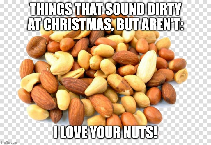 Things That Sound Dirty at Christmas | THINGS THAT SOUND DIRTY AT CHRISTMAS, BUT AREN'T:; I LOVE YOUR NUTS! | image tagged in mixed nuts,humor,funny,double entendre | made w/ Imgflip meme maker