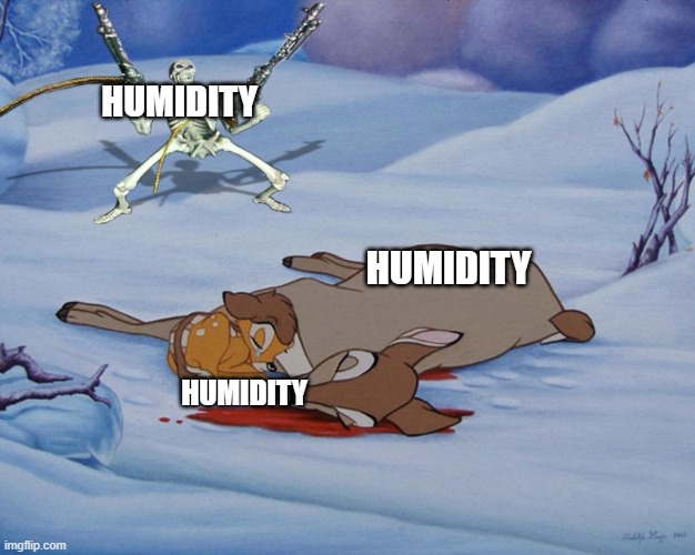 rain cycle explained | HUMIDITY; HUMIDITY; HUMIDITY | image tagged in skeleton with guns and bambi | made w/ Imgflip meme maker